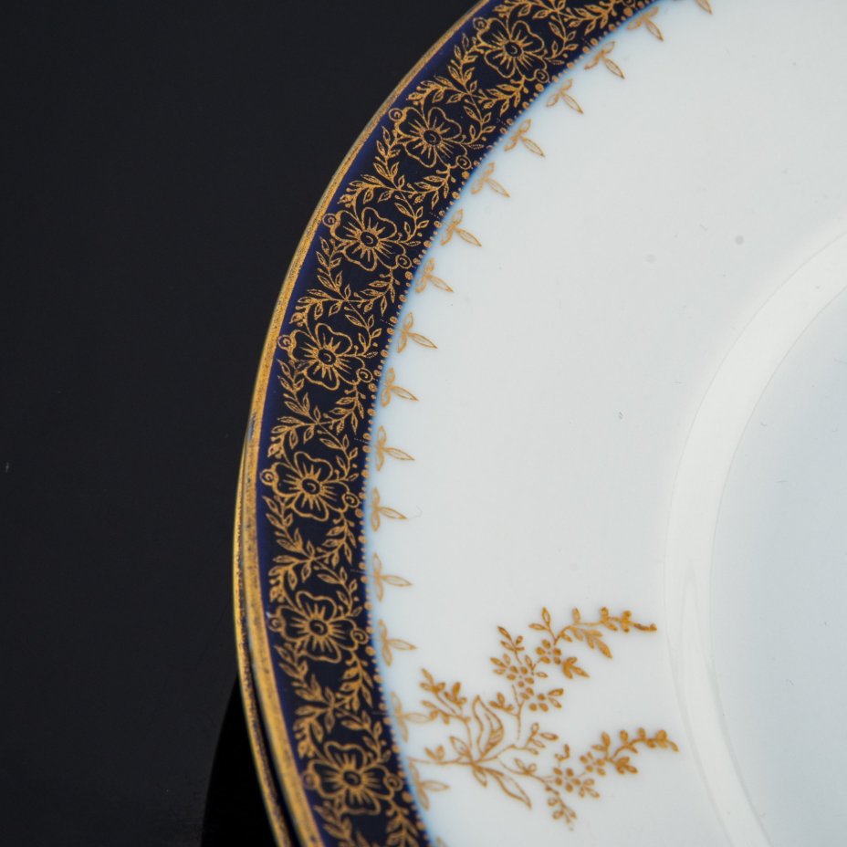 Пара обеденных тарелок с растительным декором, Rosenthal (Розенталь)