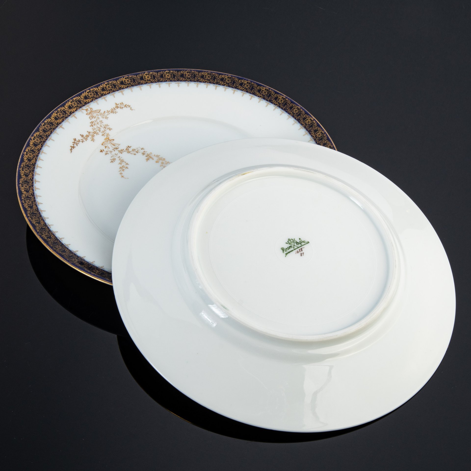 Пара обеденных тарелок с растительным декором, Rosenthal (Розенталь)