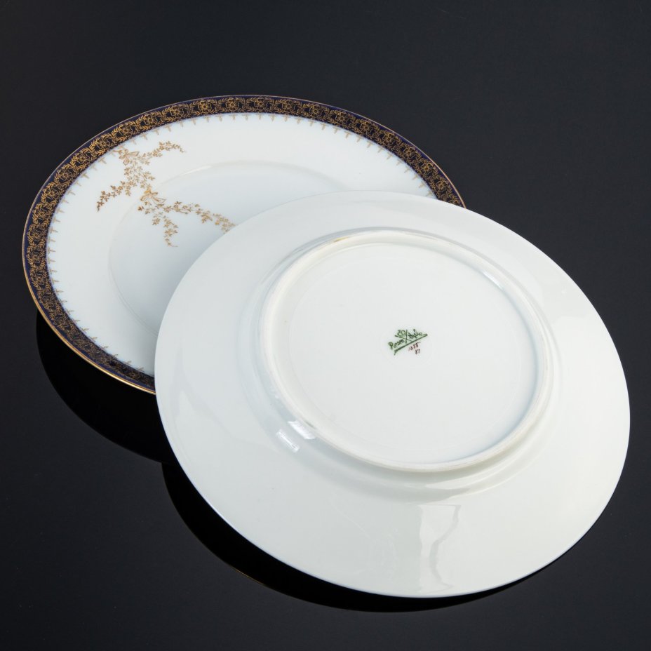 Пара обеденных тарелок с растительным декором, Rosenthal (Розенталь)