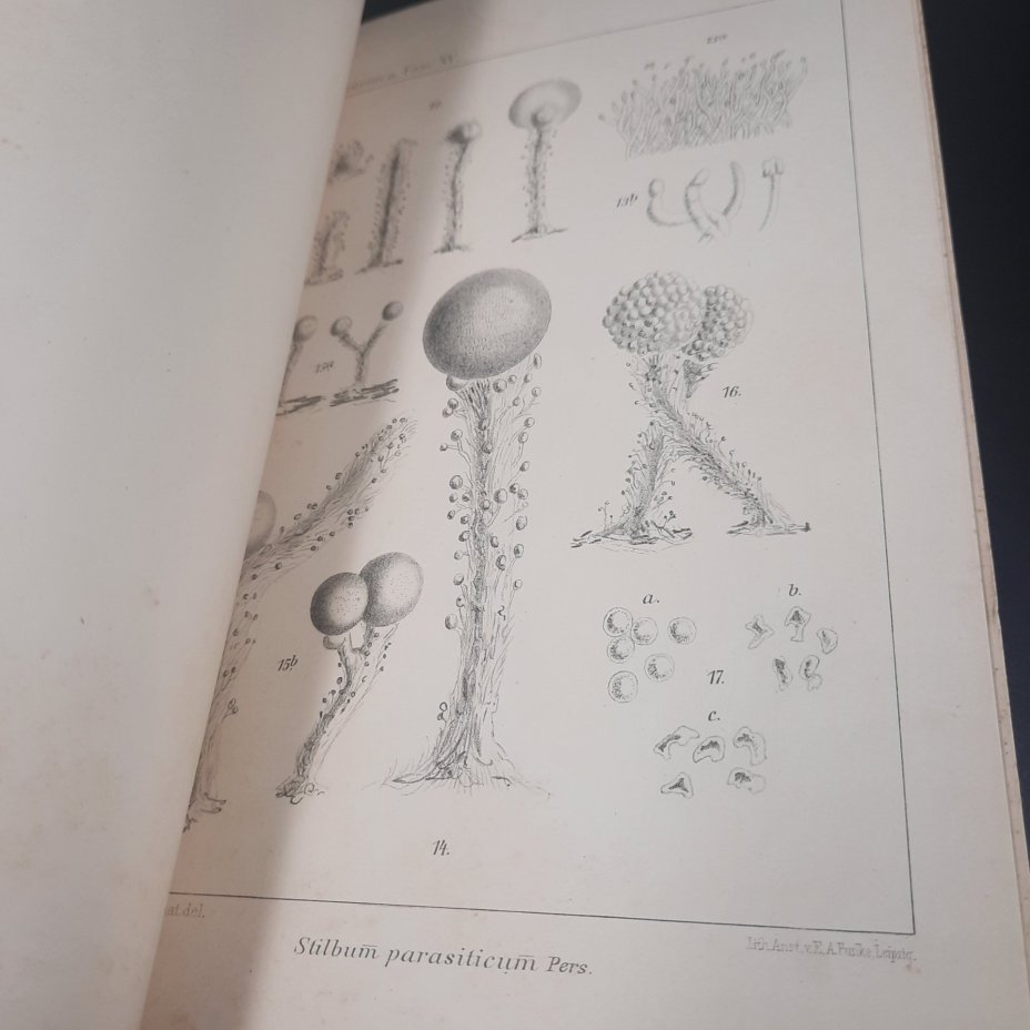 Бекетов А.Н., Гоби Хр. "Ботанические записки, издаваемые при Ботаническом саде Императорского Санкт-Петербургского университета", выпуск 15