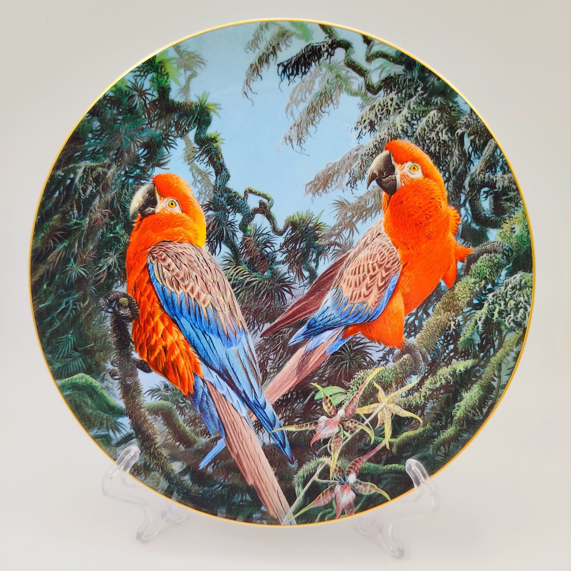 Тарелка декоративная настенная "Кубинские ара" из коллекции "Хрупкий рай"