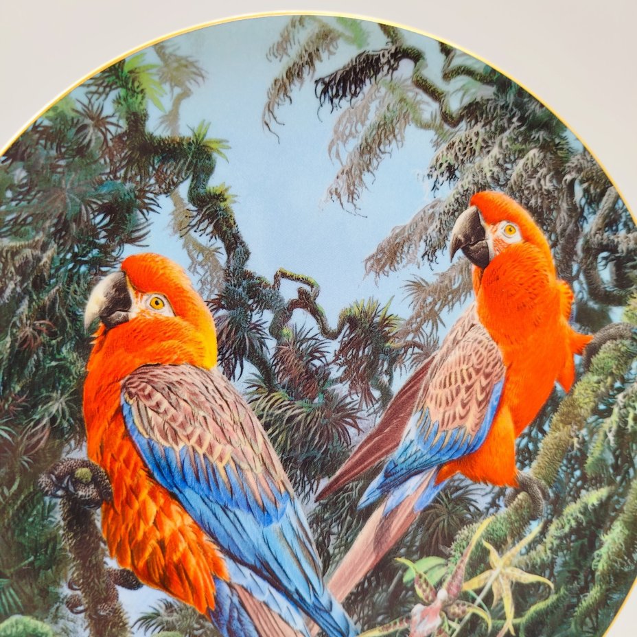 Тарелка декоративная настенная "Кубинские ара" из коллекции "Хрупкий рай"