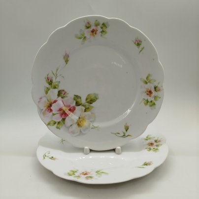 Набор из двух столовых тарелок с растительным декором, фарфор, деколь, Западная Европа, 1900-1930 гг.