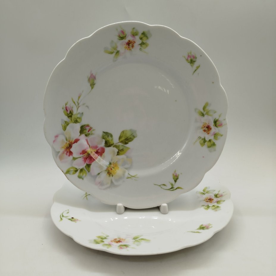 Набор из двух столовых тарелок с растительным декором, фарфор, деколь, Западная Европа, 1900-1930 гг.