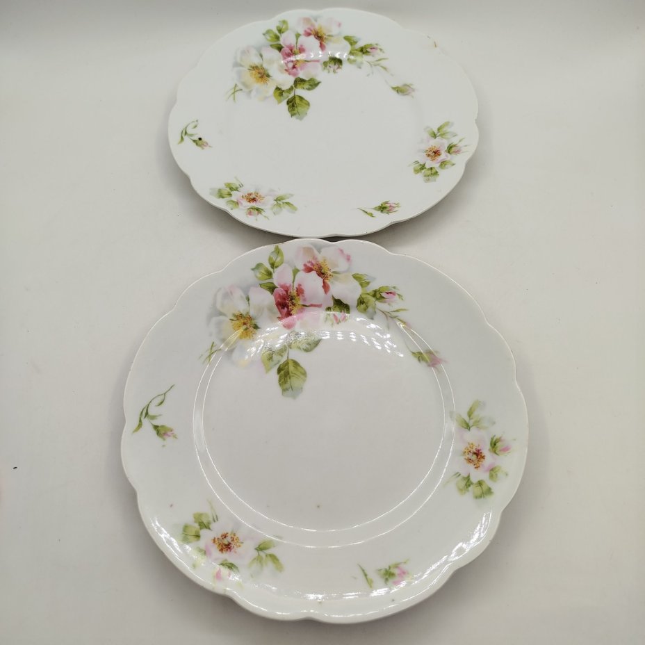 Набор из двух столовых тарелок с растительным декором