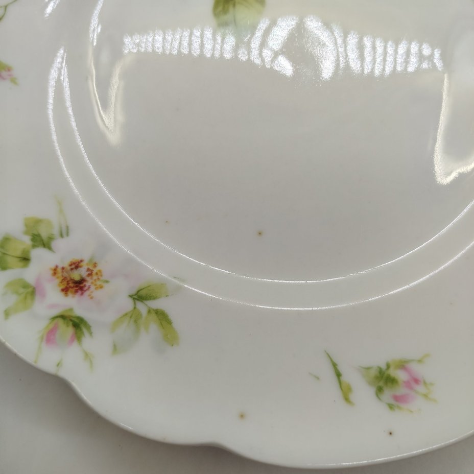 Набор из двух столовых тарелок с растительным декором