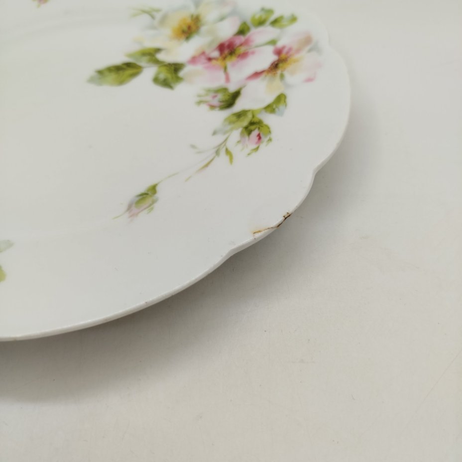 Набор из двух столовых тарелок с растительным декором