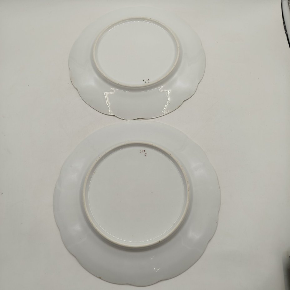 Набор из двух столовых тарелок с растительным декором