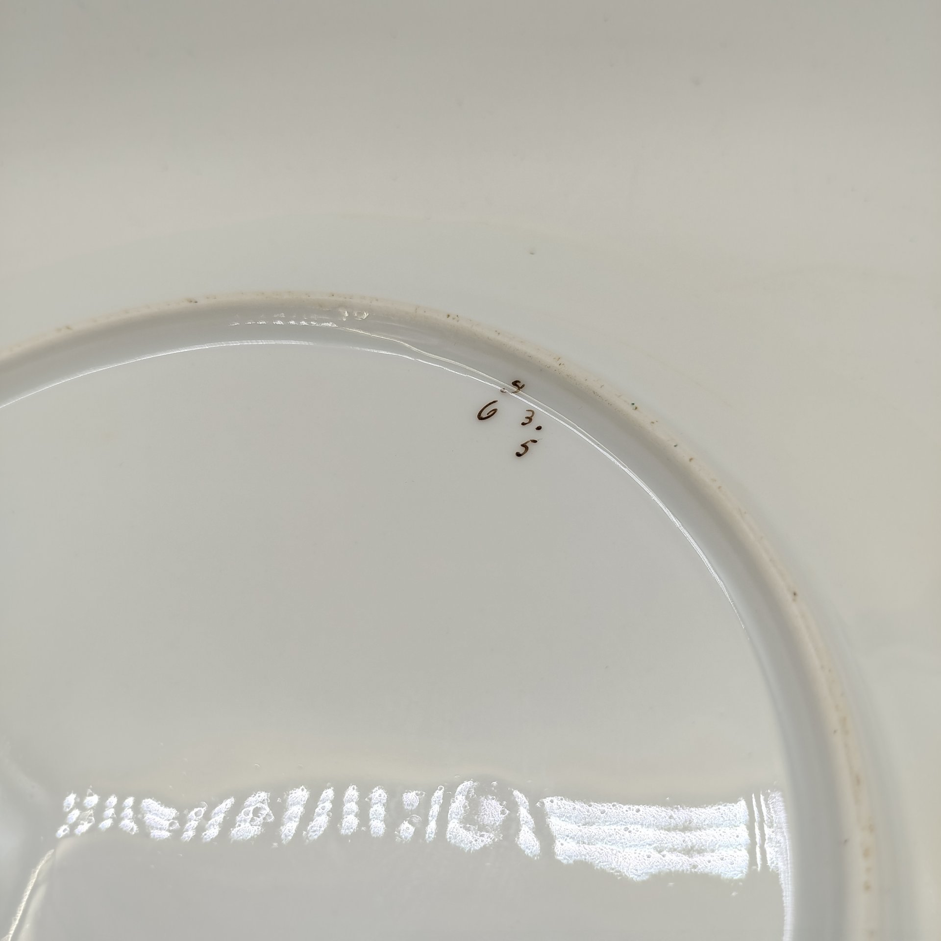 Набор из двух столовых тарелок с растительным декором, фарфор, деколь, Западная Европа, 1900-1930 гг.