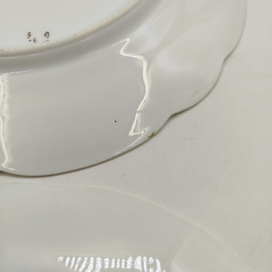 Набор из двух столовых тарелок с растительным декором