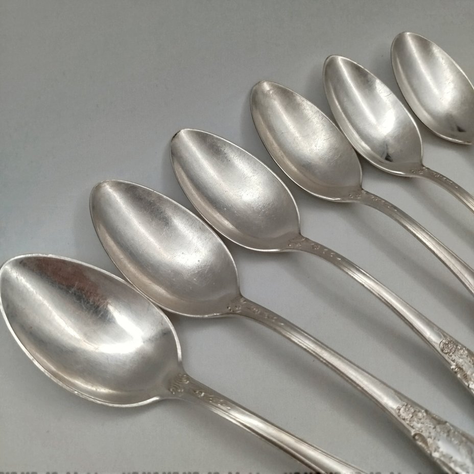 Набор из 6-ти столовых ложек с растительным декором