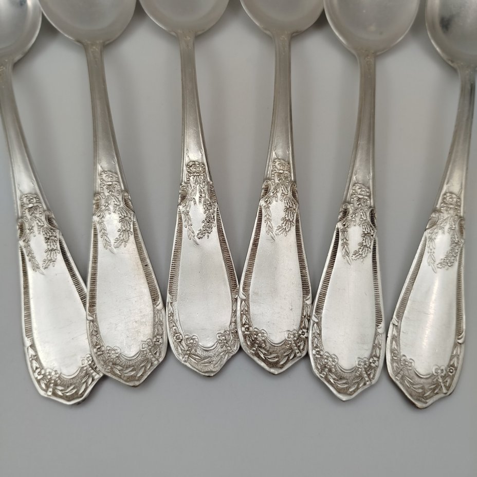 Набор из 6-ти столовых ложек с растительным декором