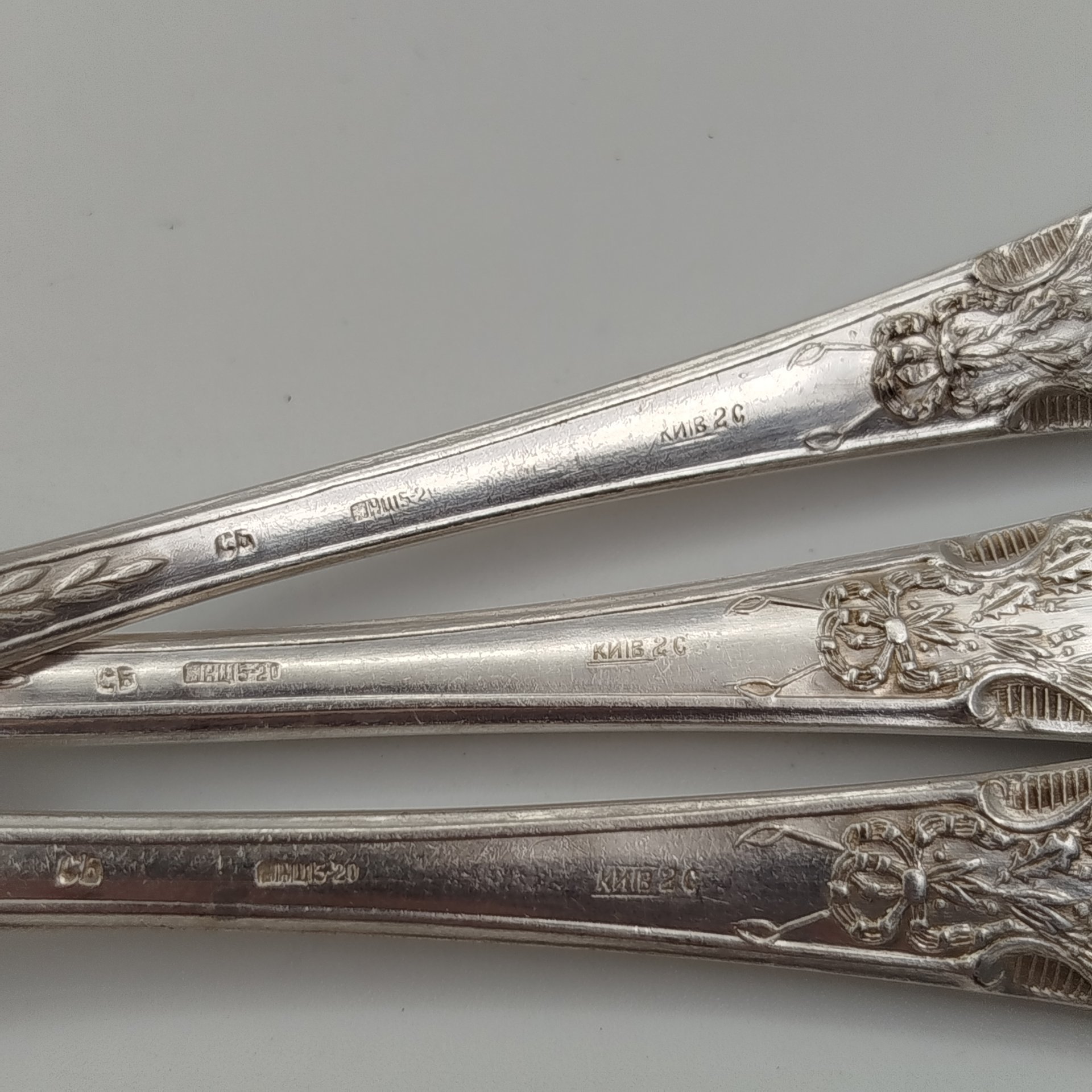 Набор из 6-ти столовых ложек с растительным декором