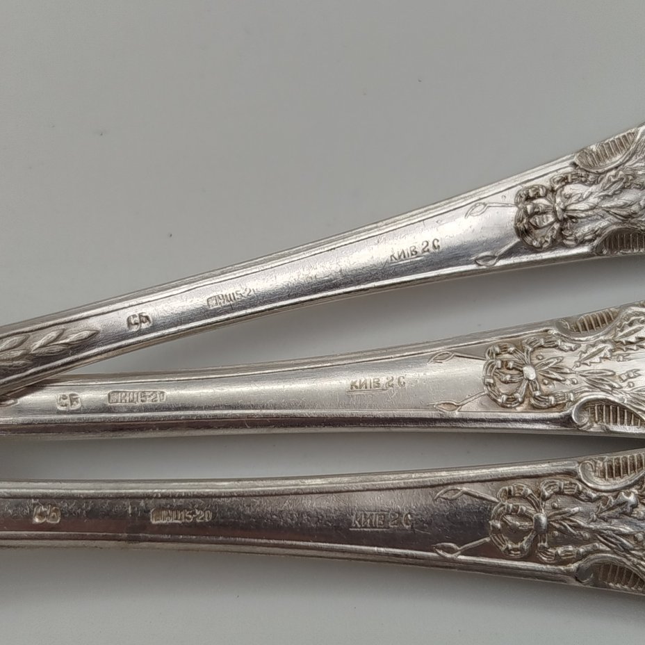 Набор из 6-ти столовых ложек с растительным декором