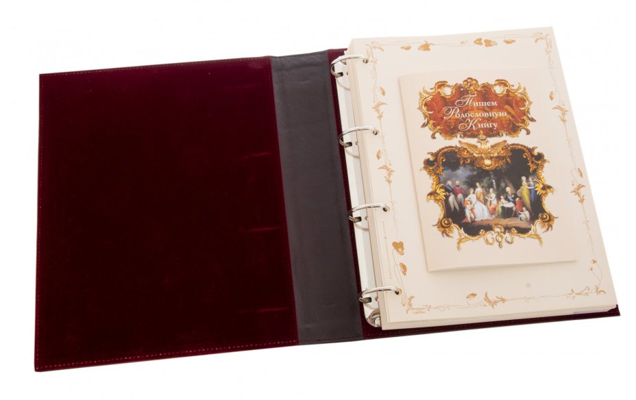 Родословная книга в футляре (для заполнения), бумага, печать, кожа, тиснение, Россия, 2010 г.