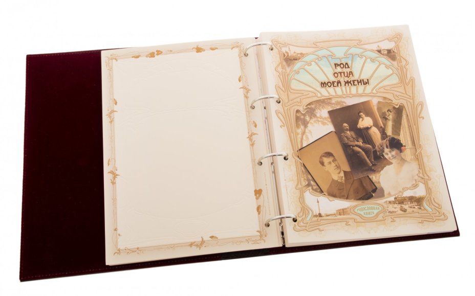 Родословная книга в футляре (для заполнения), бумага, печать, кожа, тиснение, Россия, 2010 г.