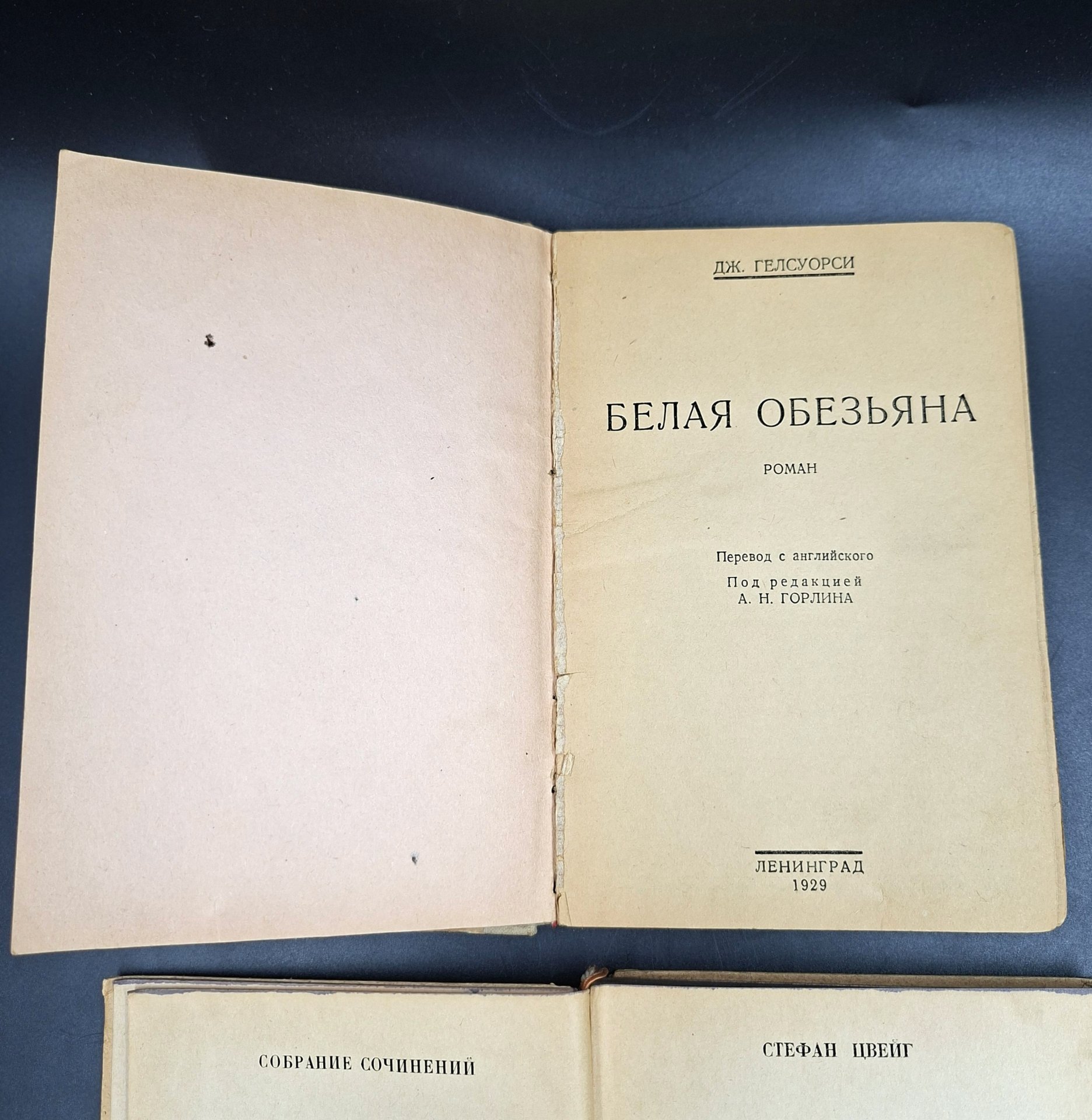 Набор из двух книг Стефана Цвейга и Джона Гелсуорси, бумага, печать, СССР, 1929-1932 гг.