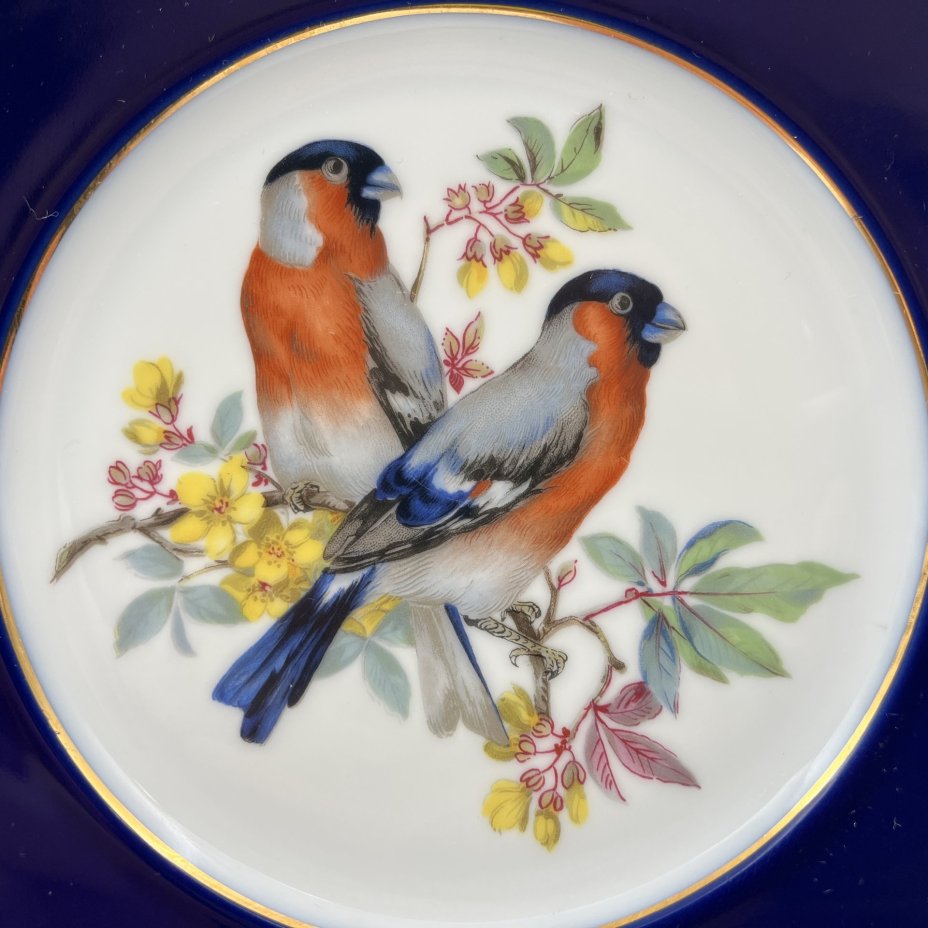 Тарелки с декором в виде птиц и кобальтовым кантом (2 шт.), Мануфактура Josef Kuba