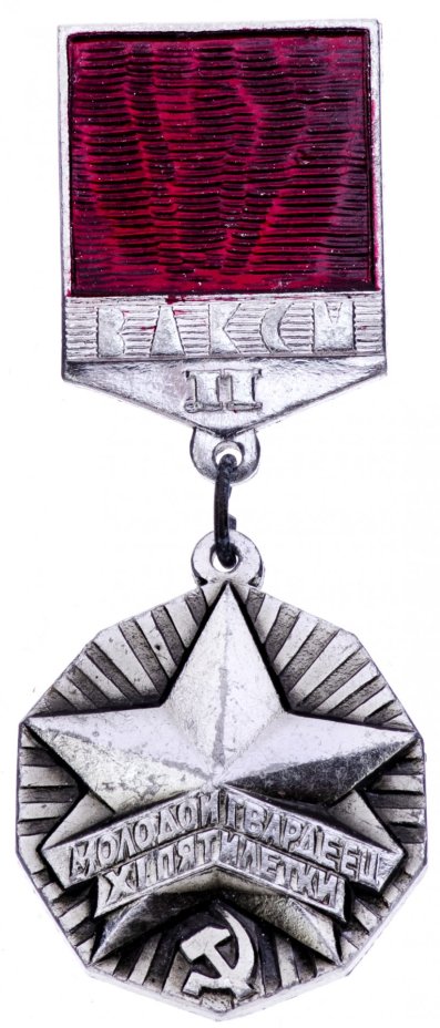 Значок СССР 1982 г "Молодой Гвардеец 11 Пятилетки 2 степени", булавка