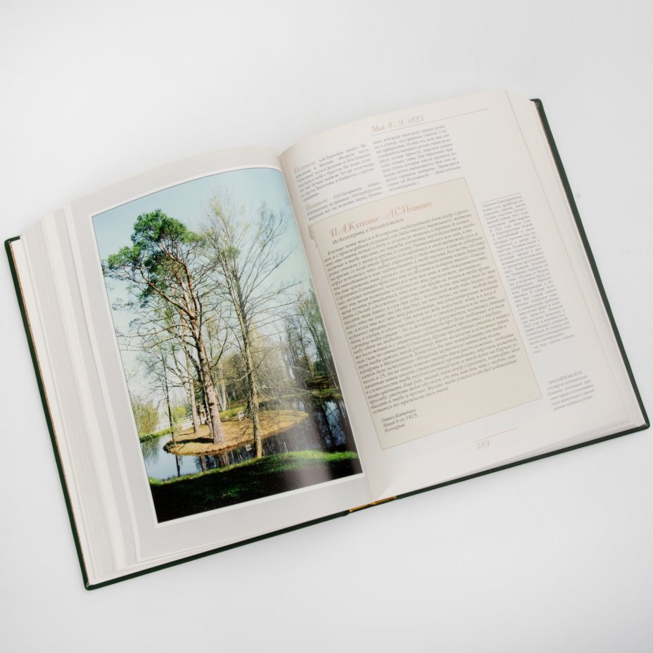 Книга (подарочное издание) "Александр Пушкин. Михайловское 1824-1826", составитель Е.П. Кассин, Издательство  "Парадиз"
