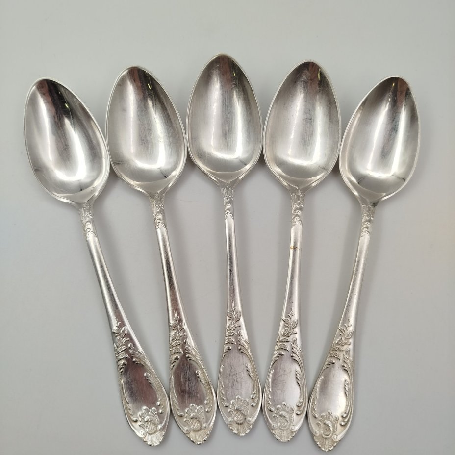 Набор из пяти столовых ложек с растительным декором