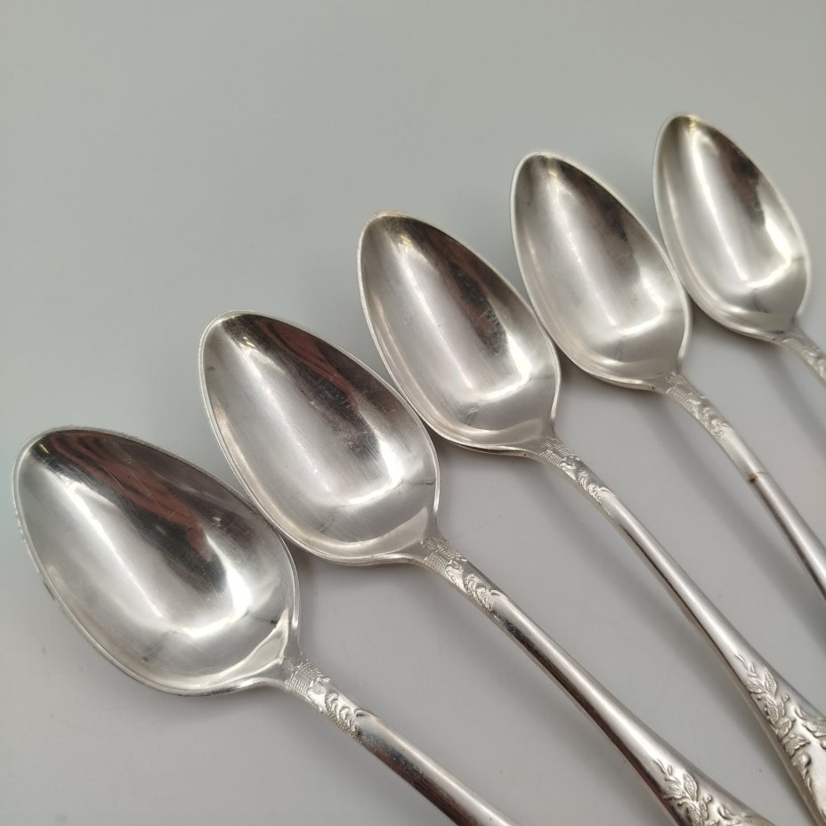 Набор из пяти столовых ложек с растительным декором