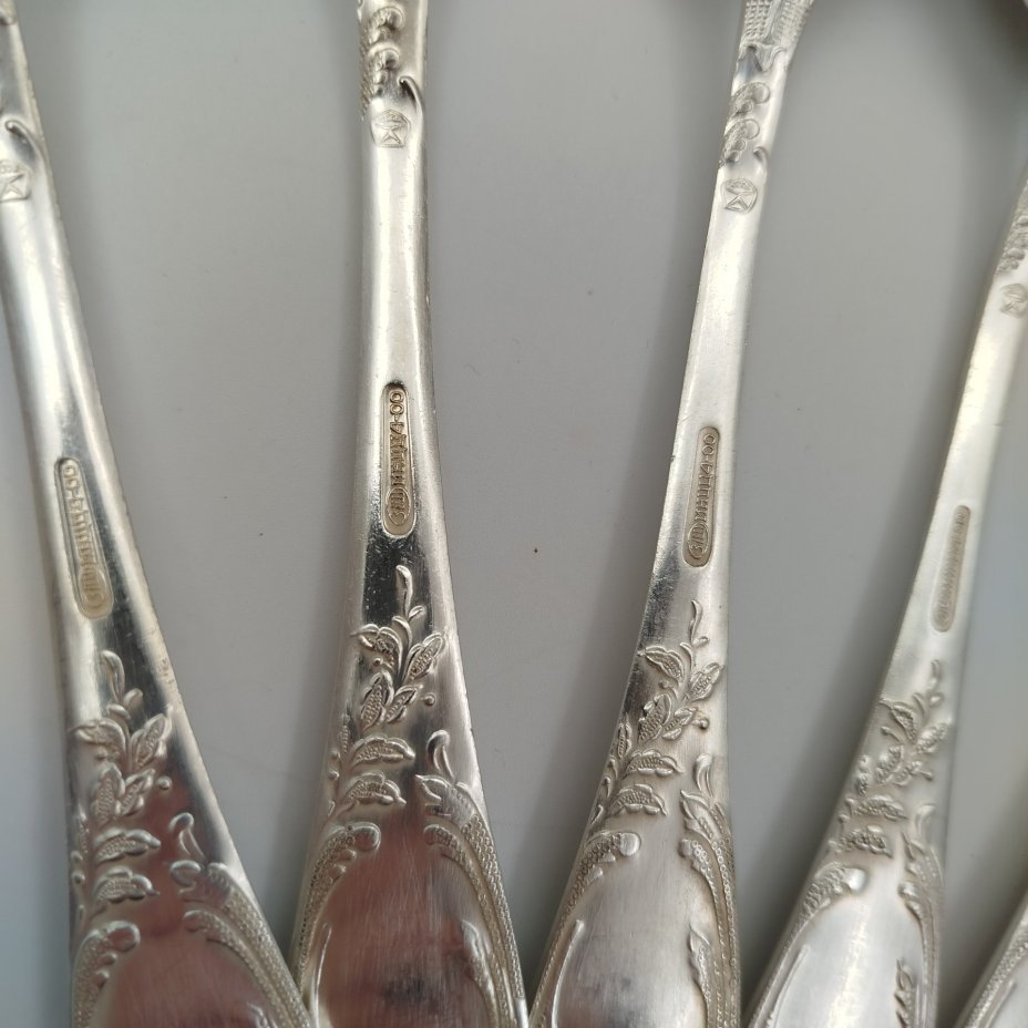 Набор из пяти столовых ложек с растительным декором