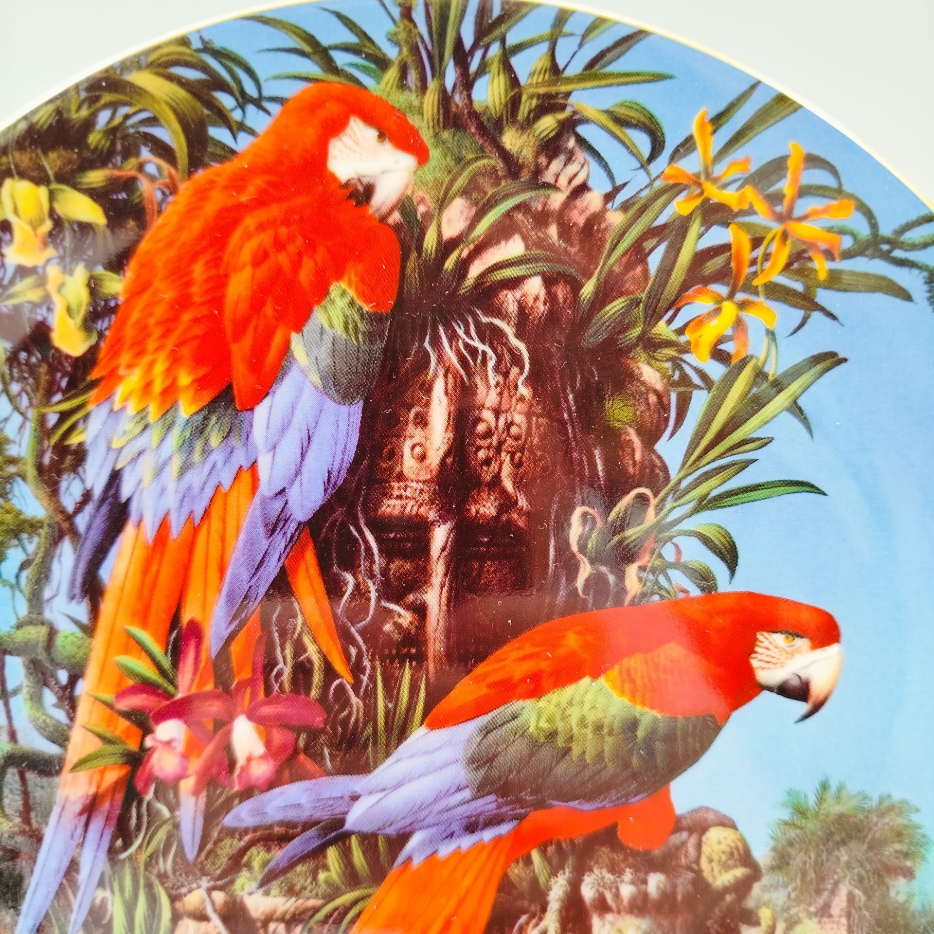 Тарелка декоративная настенная "Зеленокрылые ара" из коллекции "Хрупкий рай"