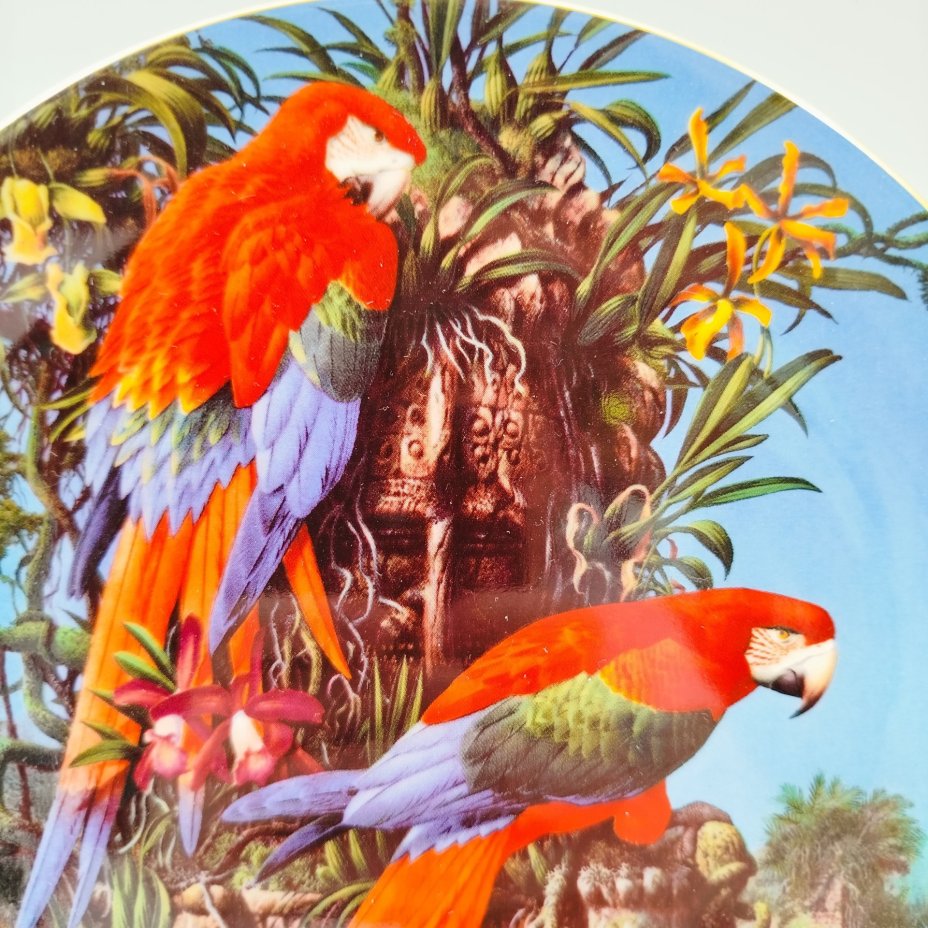 Тарелка декоративная настенная "Зеленокрылые ара" из коллекции "Хрупкий рай"