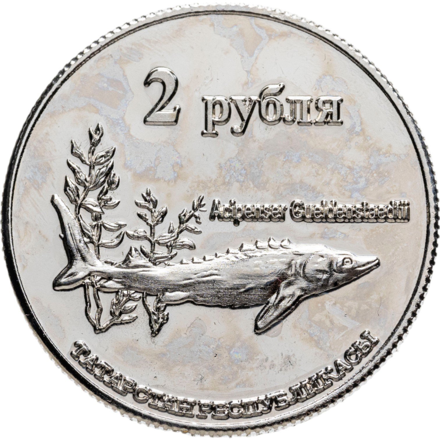 Конфетница/ёмкость для хранения "Петух" с флоральным декором, автор росписи Шаталова, Гжель, фарфор, роспись, Россия, 2000-2020 гг.