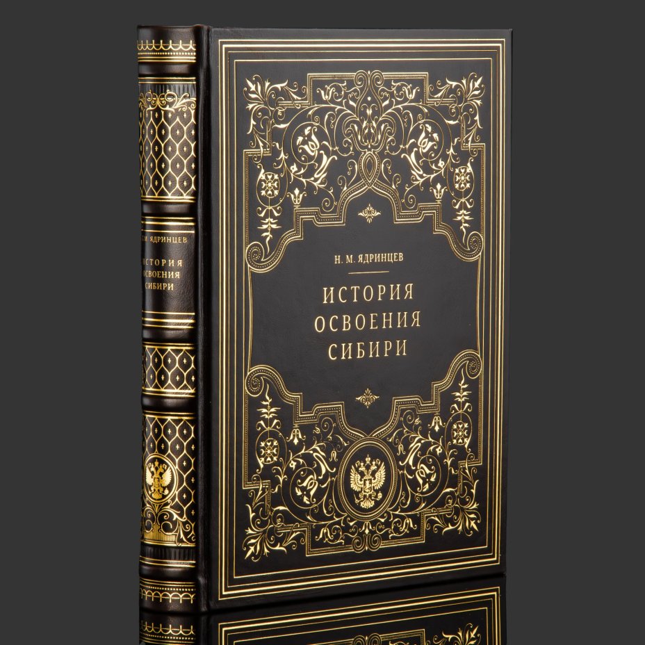 Книга в кожаном переплете "История освоения Сибири"