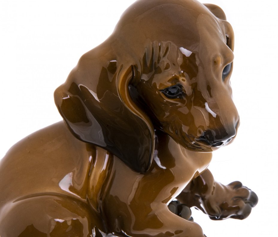 Статуэтка "Щенок таксы", фарфор, роспись, мануфактура "Rosenthal", Германия, 1930-1960 гг., Rosenthal (Розенталь)