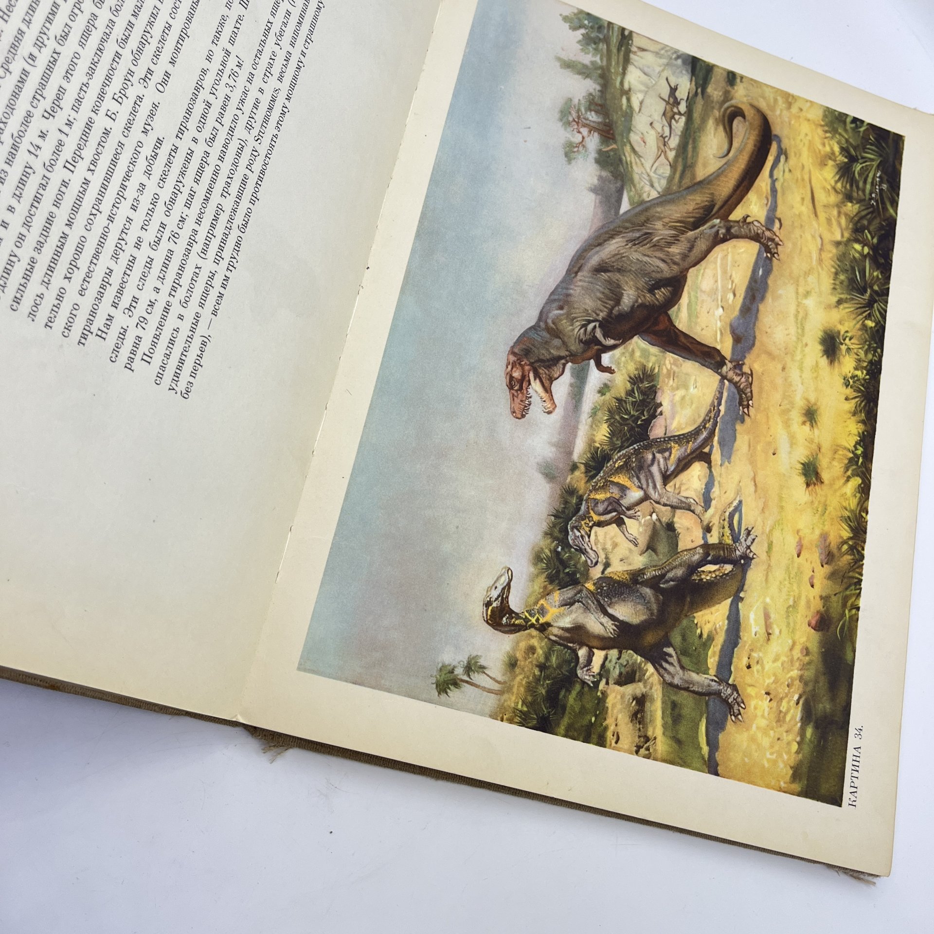 Книга проф. д-ра Иозефа Аугусты "По путям развития жизни" с иллюстрациями Зденека Буриана