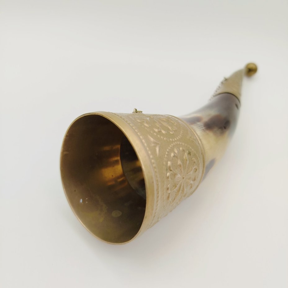 Рог изобилия (кубок для вина), украшенный растительным декором