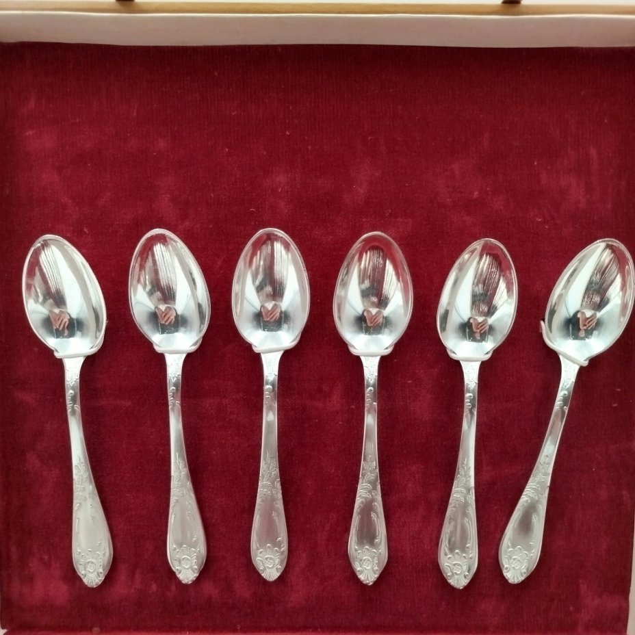 Набор столовых приборов с растительным декором на 6 персон в оригинальном кофре (ложки, вилки, ножи, чайные ложки), мНЦ (медь-никель-цинк), картон, Вольнянский завод столовых приборов им. Шевченко (ЗiШ, ЗиШ), СССР, 1980-1990 гг.