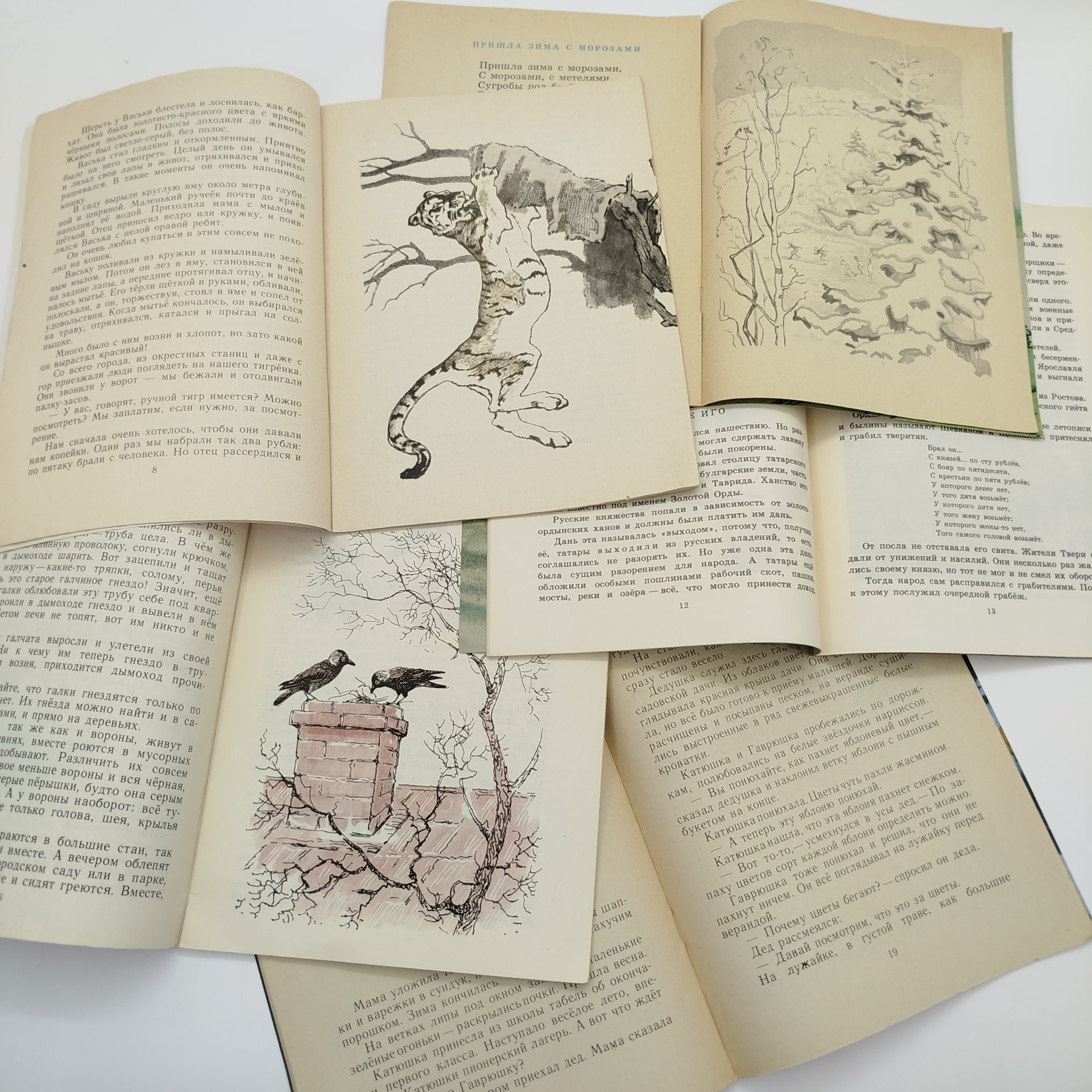 Набор из 5-ти детских книг из серии "Читаем сами" (О. Перовская "Тигрёнок Васька", О. Высотская "Над рекой над Окой", Г. Скребицкий "Крылатые соседи", З. Воскресенская "Ленивое солнце", Г. Шторм "На поле Куликовом"), Издательство «Детская литература» (Детгиз)