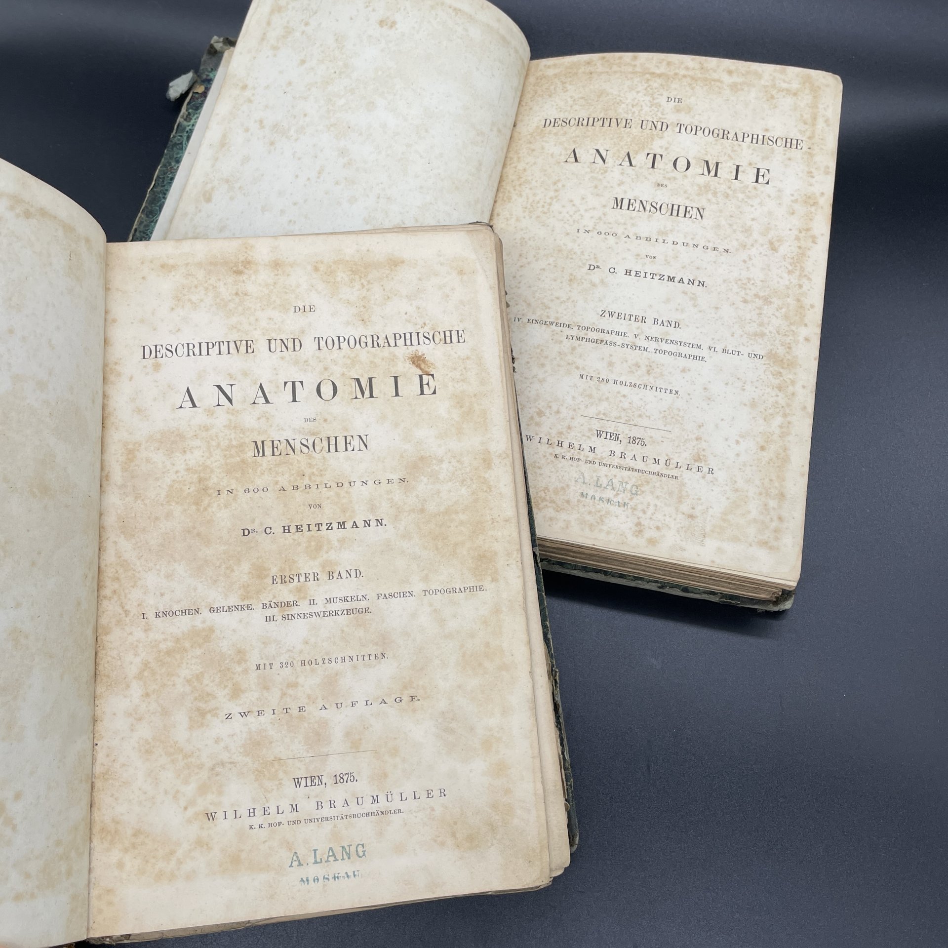 Книги Carl Heitzmann, 	 Die descriptive und topographische Anatomie des Menschen, Том 1, 2 / Издательство Wilhelm Braumuller