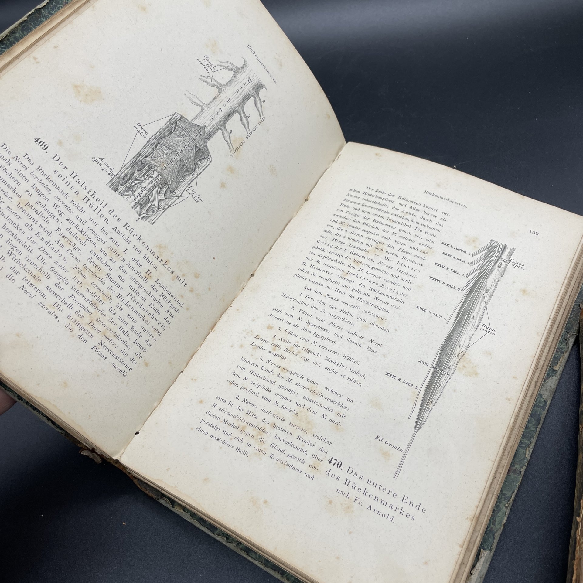 Книги Carl Heitzmann, 	 Die descriptive und topographische Anatomie des Menschen, Том 1, 2 / Издательство Wilhelm Braumuller