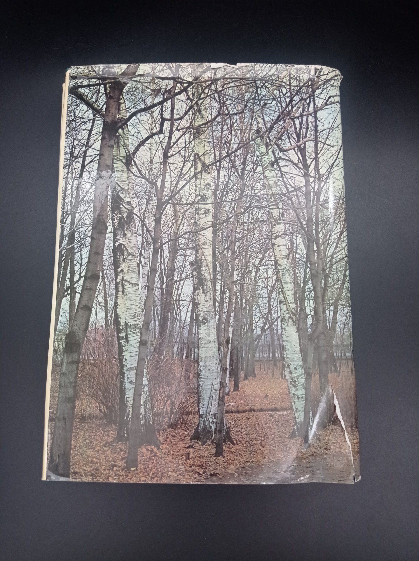 Книга  П. Е. Вайдман, К. Ю. Давыдовой, И. Г. Соколинской "Чайковский", Издательство «Музыка»