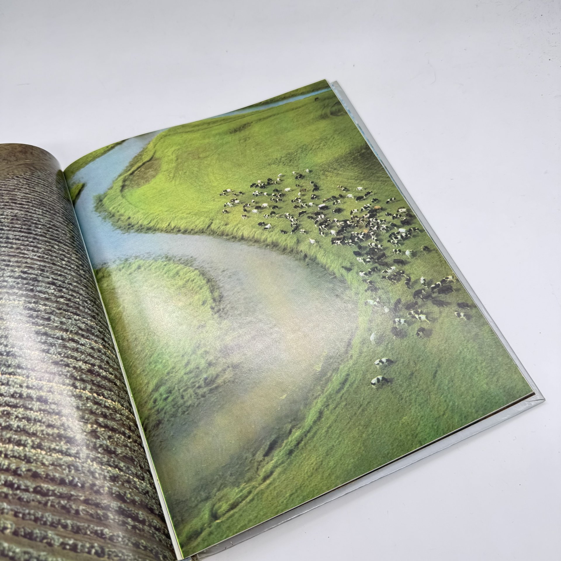Альбом "У высоких берегов Амура: фоторассказ о Хабаровском крае", Хабаровское книжное изд-во