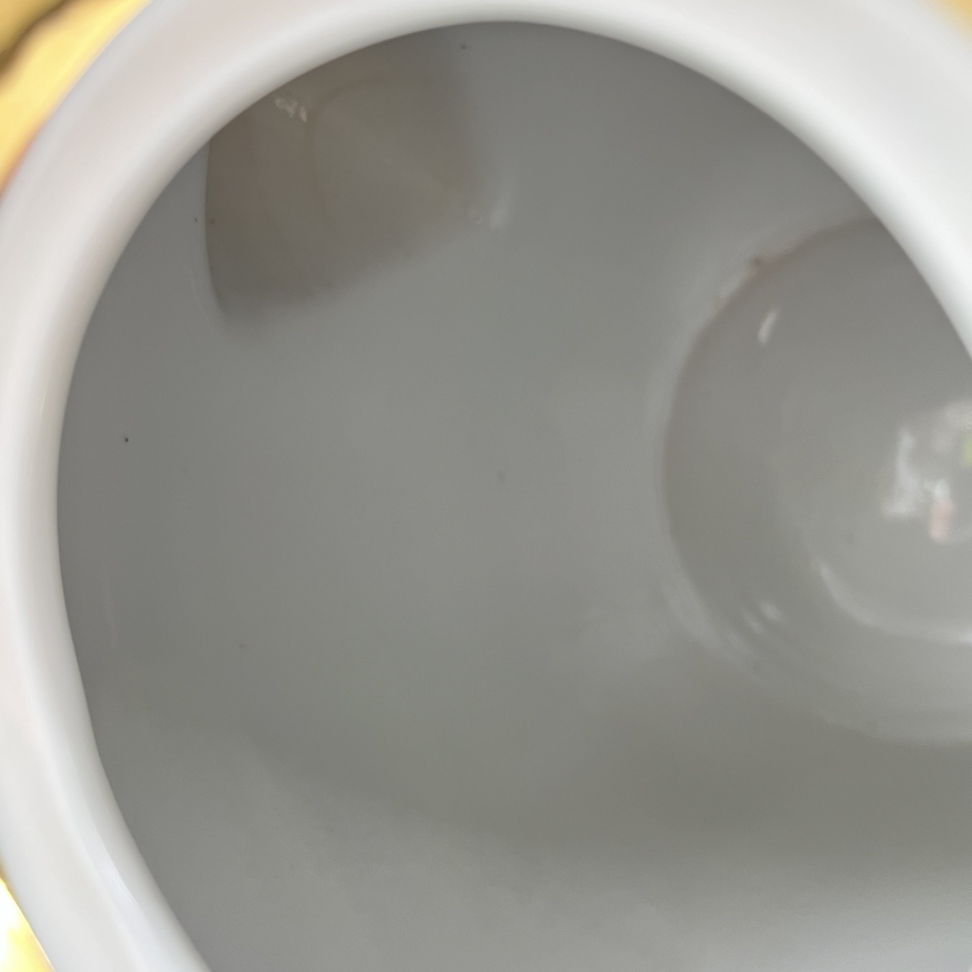 Чайник доливной "Хризантемы" ("Астры"), автор В.К. Яснецов