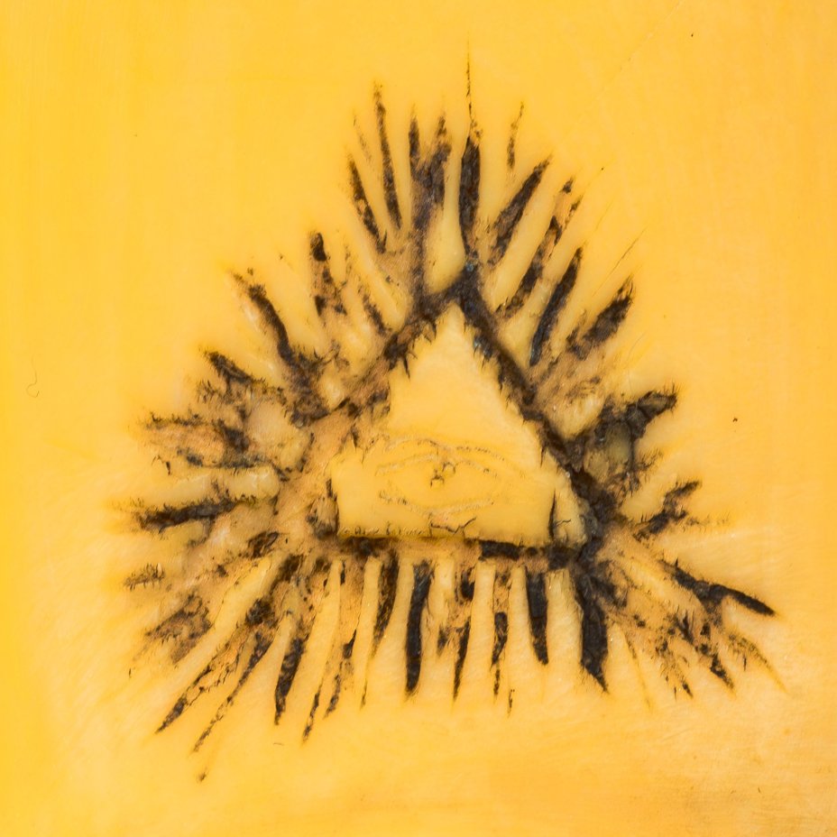 Навершие (ручка) трости в виде льва