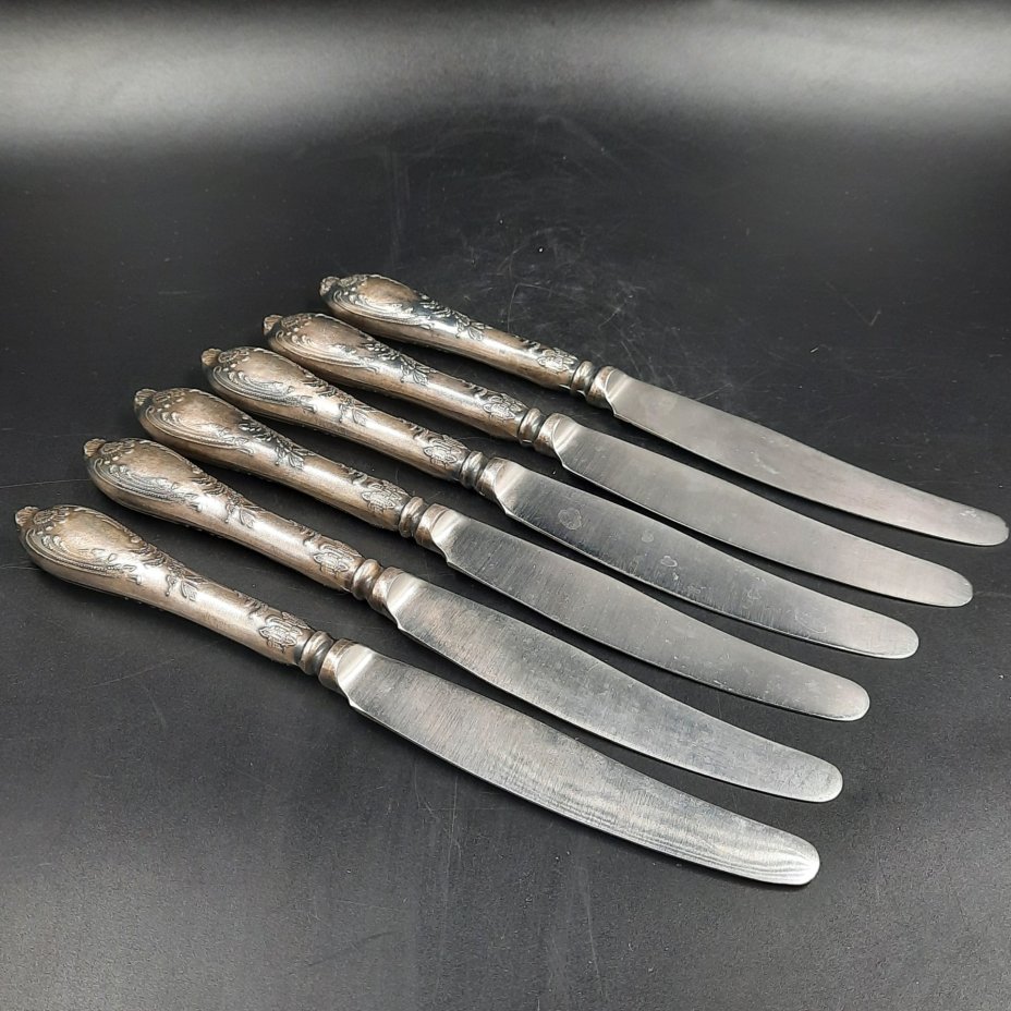 Набор из шести десертных ножей с растительным декором, мНЦ (медь-никель-цинк), сталь, Вольнянский завод столовых приборов им. Шевченко (ЗiШ, ЗиШ), СССР, 1960-1980 гг.