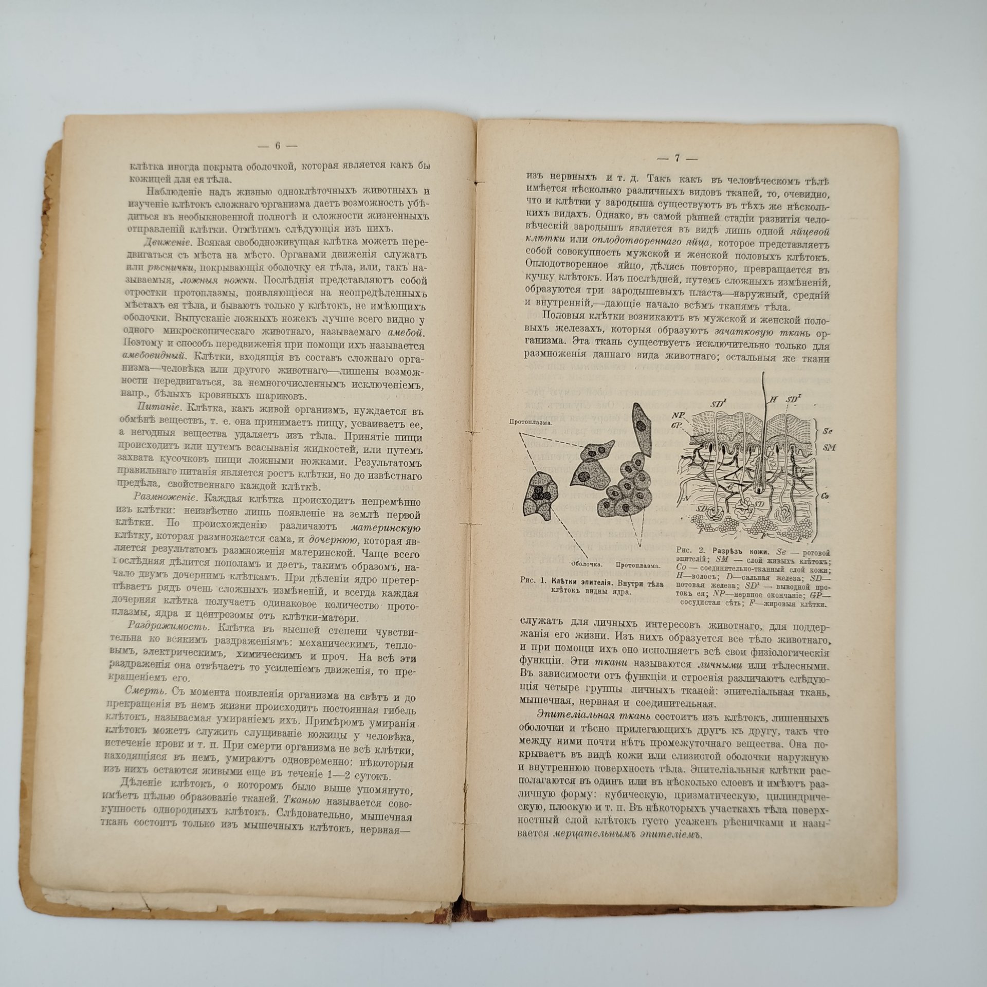 Книги доктора медицины К.З. Яцута "Разборная модель женского тела" и "Разборная модель мужского тела" с очерками анатомии человека, бумага, печать, Издание П.П. Сойкина, Российская империя, 1911 г., Издание П.П. Сойкина