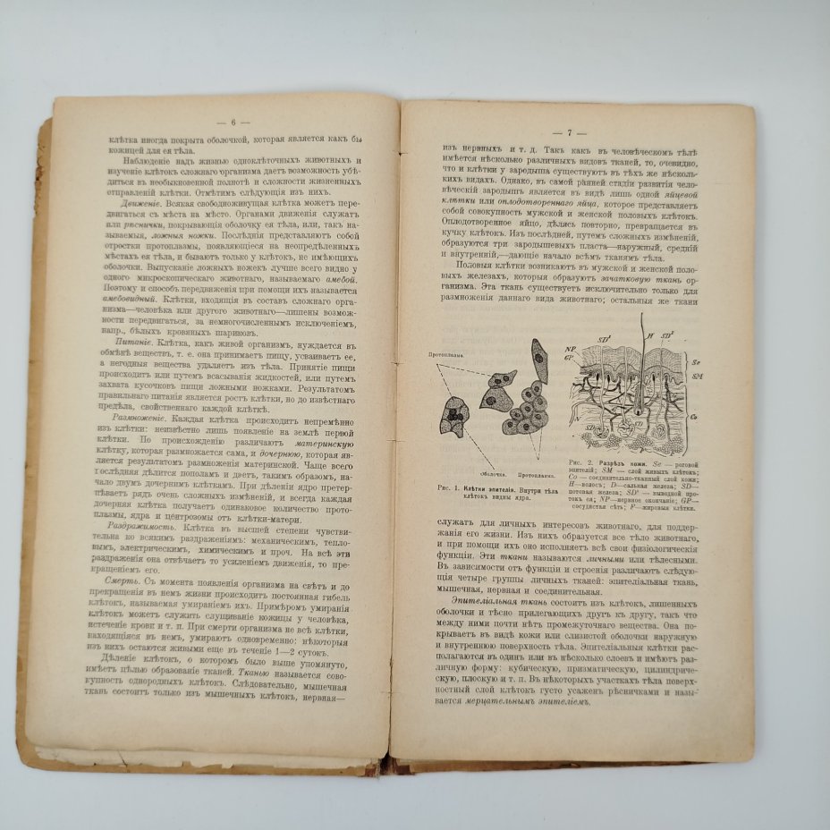 Книги доктора медицины К.З. Яцута "Разборная модель женского тела" и "Разборная модель мужского тела" с очерками анатомии человека, бумага, печать, Издание П.П. Сойкина, Российская империя, 1911 г., Издание П.П. Сойкина