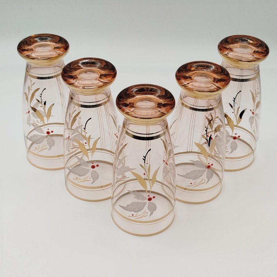 Набор бокалов для прохладительных напитков с растительным узором (на 6 персон)