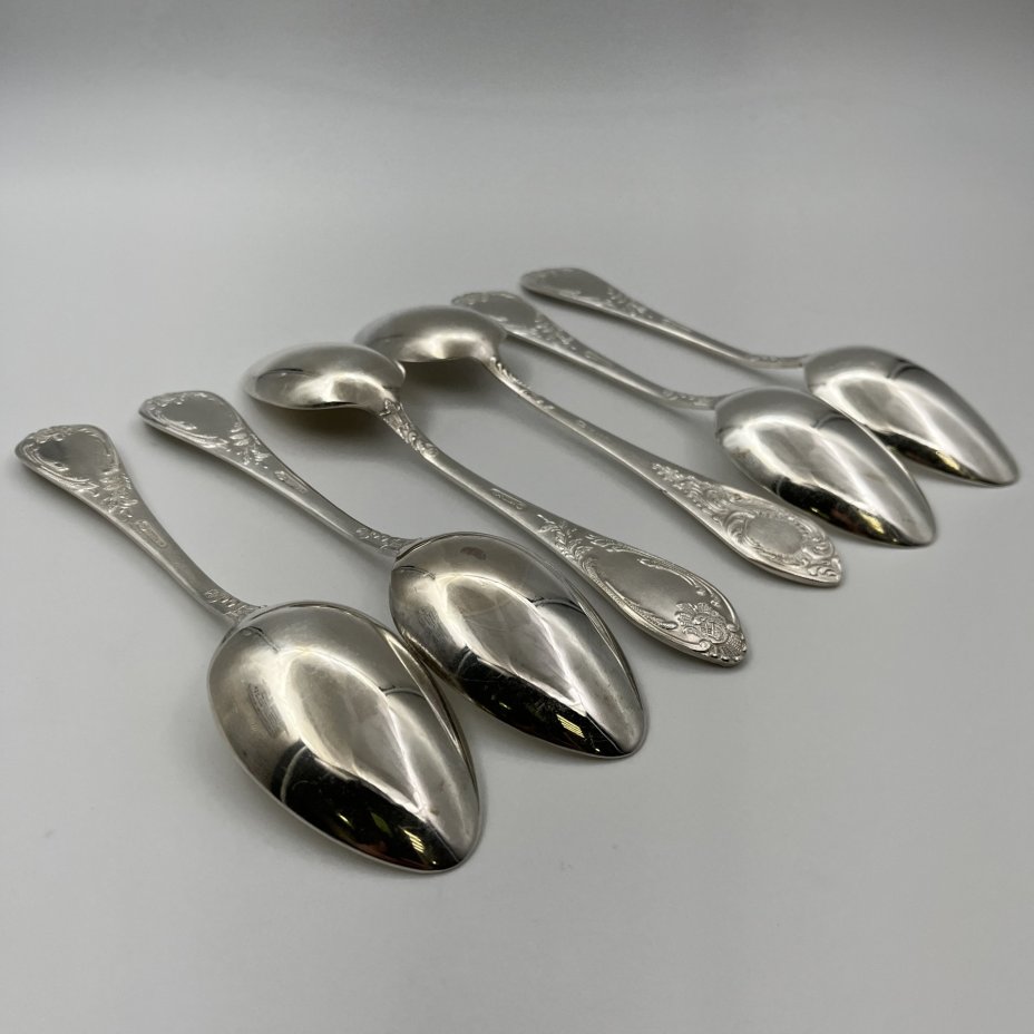 Набор ложек столовых с растительным декором на 6 персон, мНЦ (медь-никель-цинк), Вольнянский завод столовых приборов им. Шевченко (ЗiШ, ЗиШ), СССР, 1960-1990 гг.