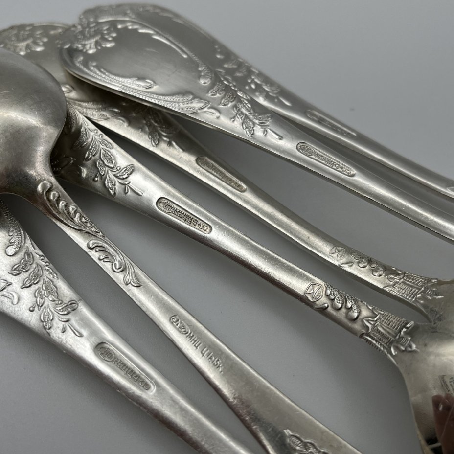 Набор ложек столовых с растительным декором на 6 персон, мНЦ (медь-никель-цинк), Вольнянский завод столовых приборов им. Шевченко (ЗiШ, ЗиШ), СССР, 1960-1990 гг.