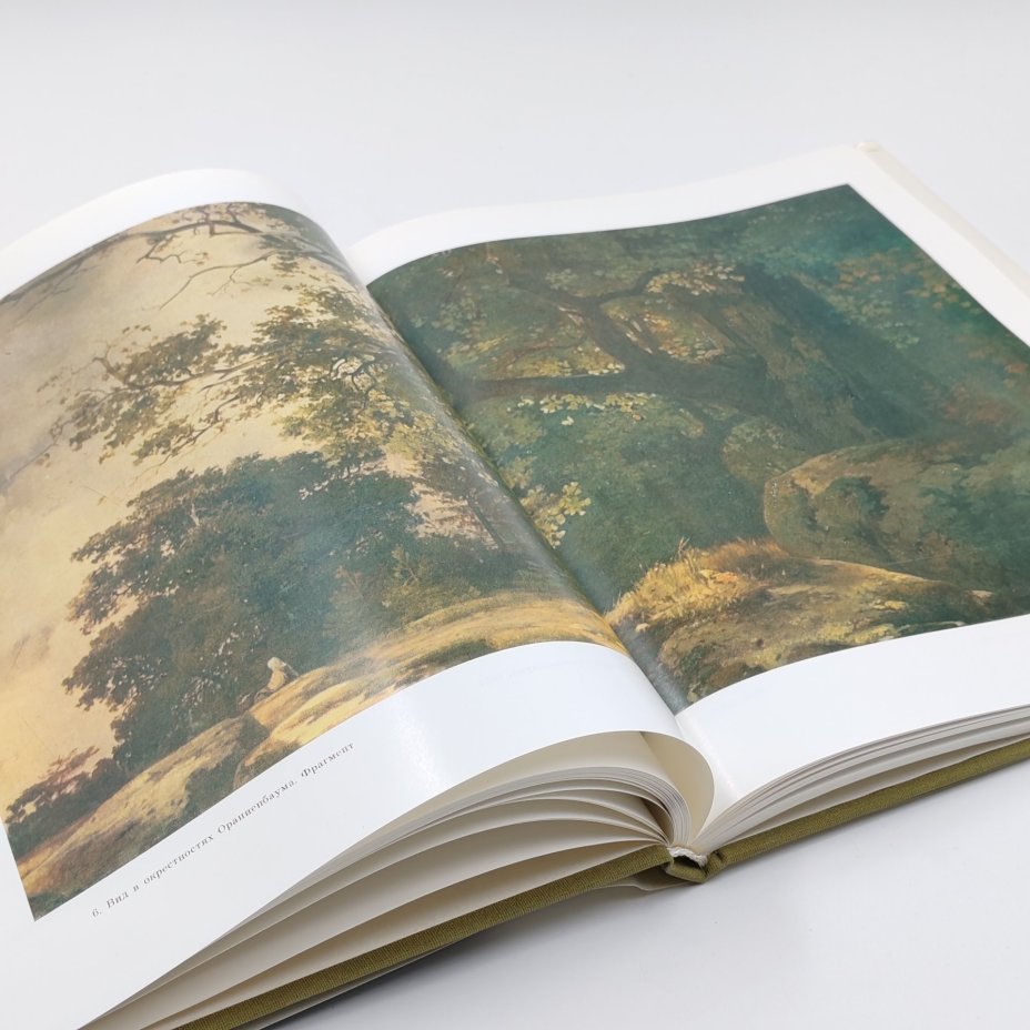 Книга Алексей Кондратьевич Саврасов, Ф.С. Мальцева, Издательство «Художник РСФСР»