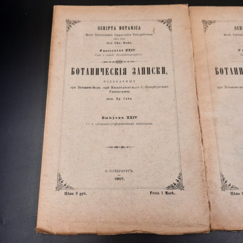 Бекетов А.Н., Гоби Хр. "Ботанические записки, издаваемые при Ботаническом саде Императорского Санкт-Петербургского университета", выпуски 24 и 25